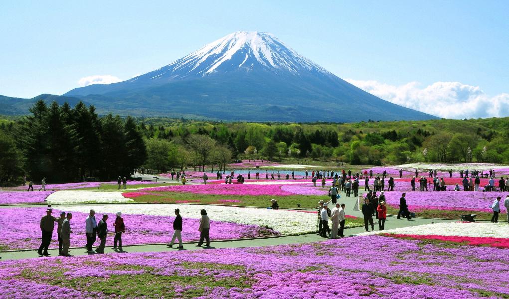 Park Narodowy Fuji-Hakone-Izu